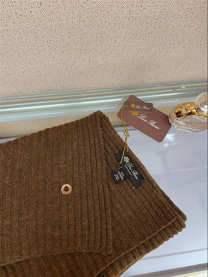 2026116112024414 100